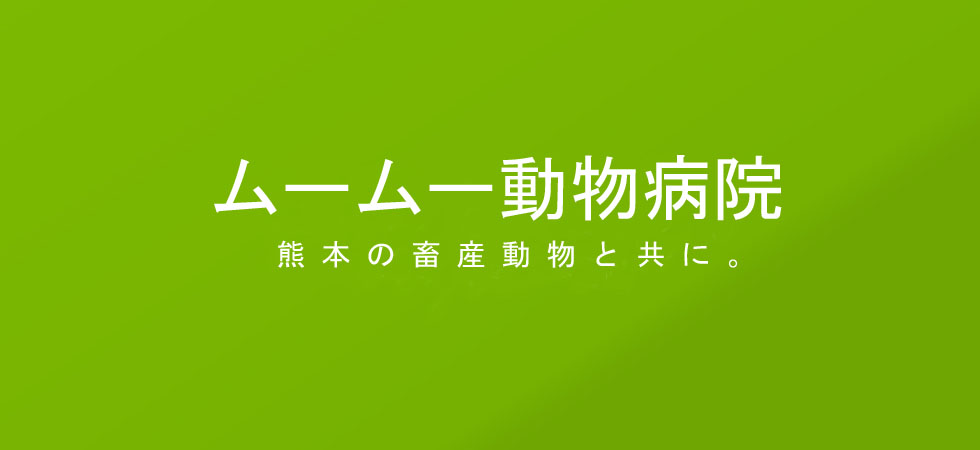 ムームー動物病院